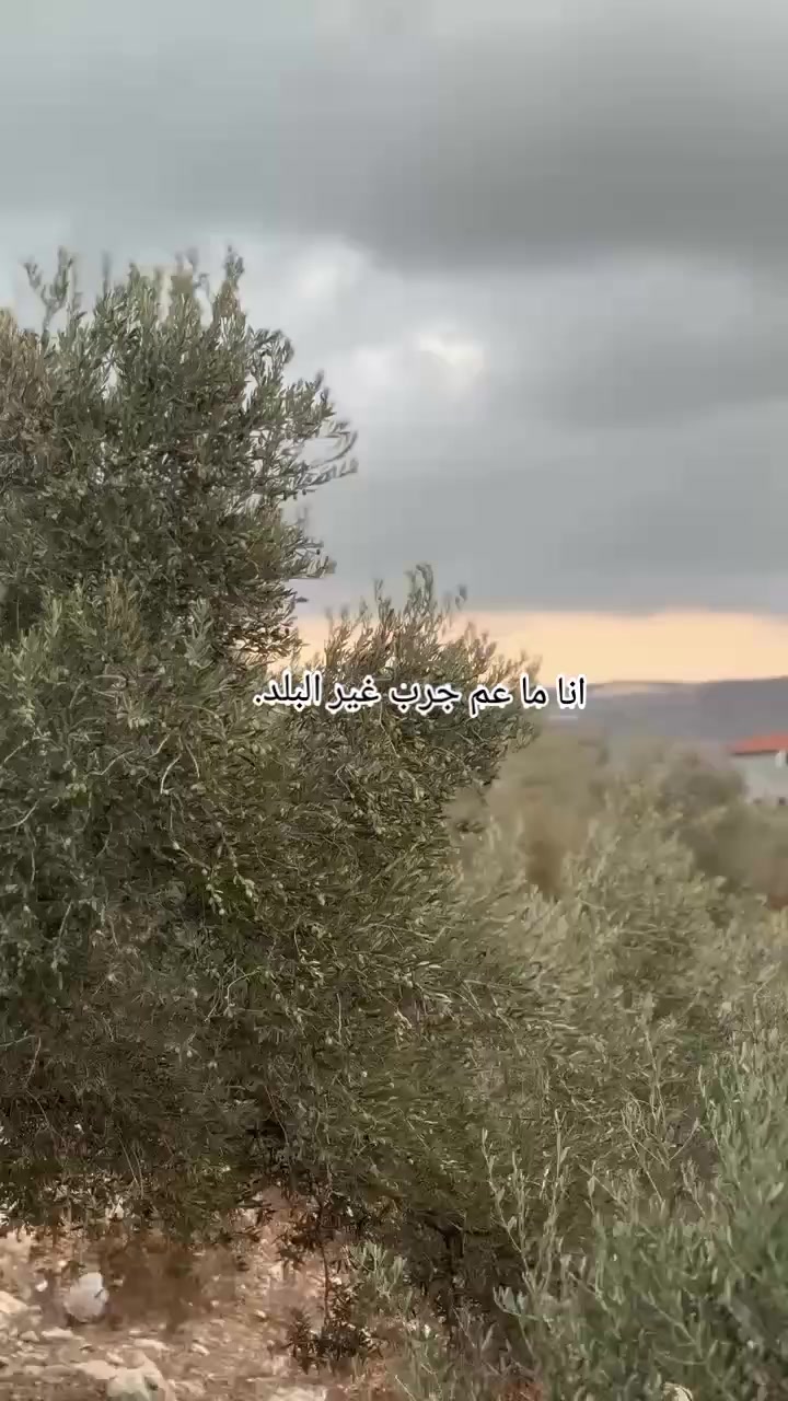 @سـاره | 𝑠𝑎𝑟𝑎ℎ♡