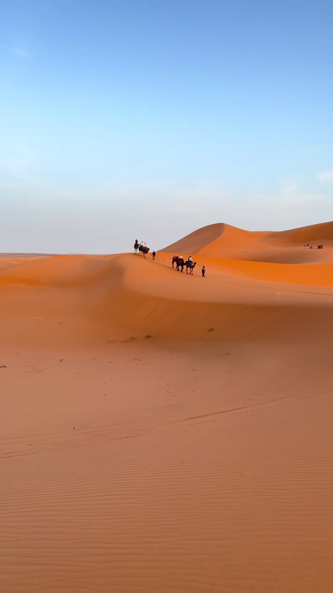 @www.treksmorocco.com