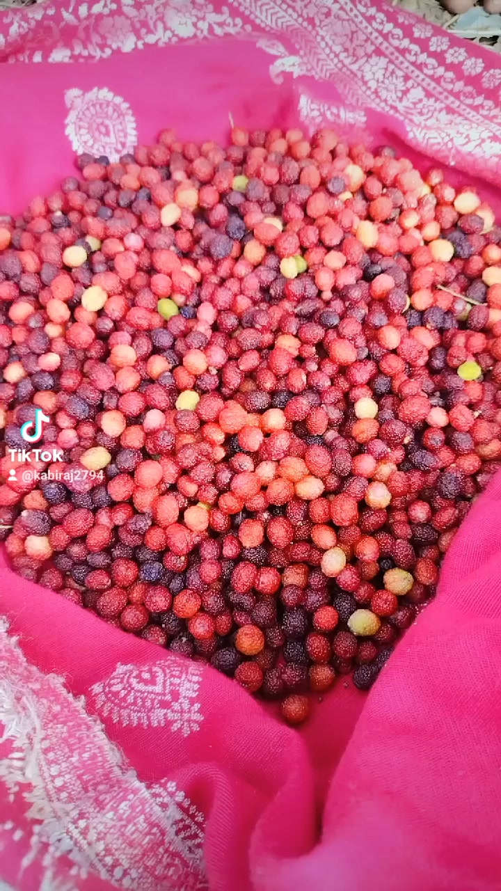 @Sushma Sushma