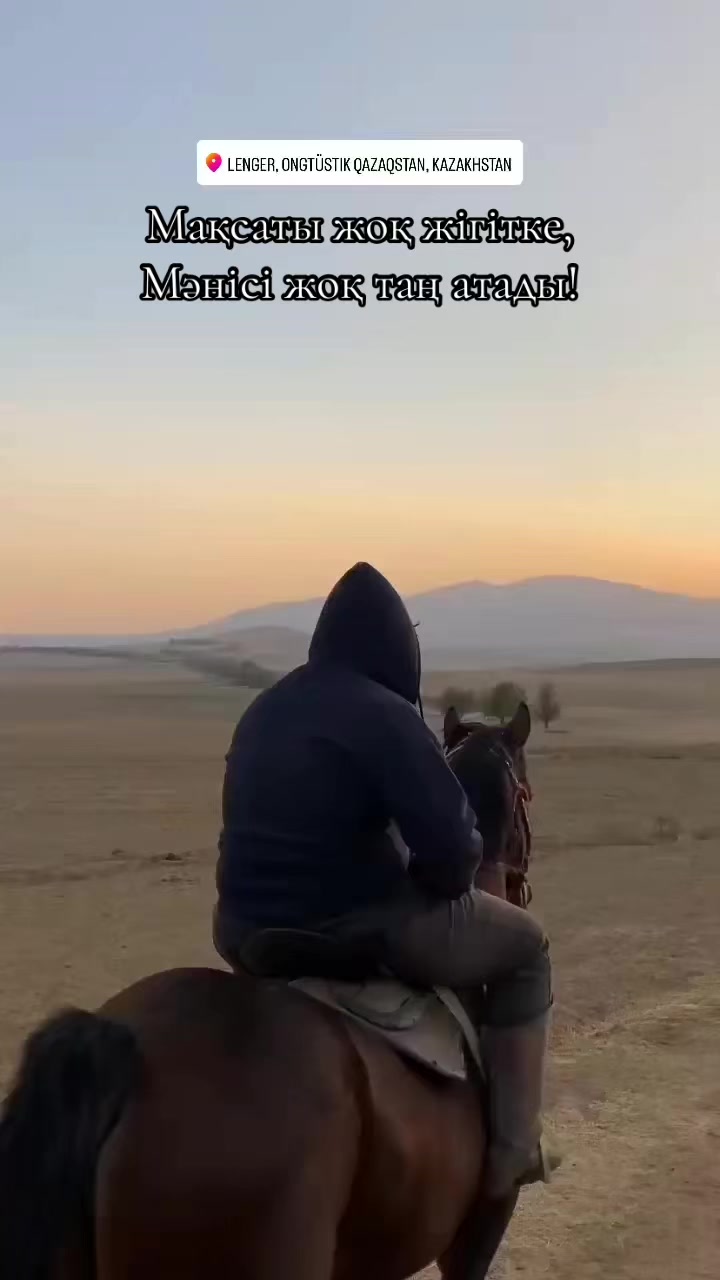 @🐯