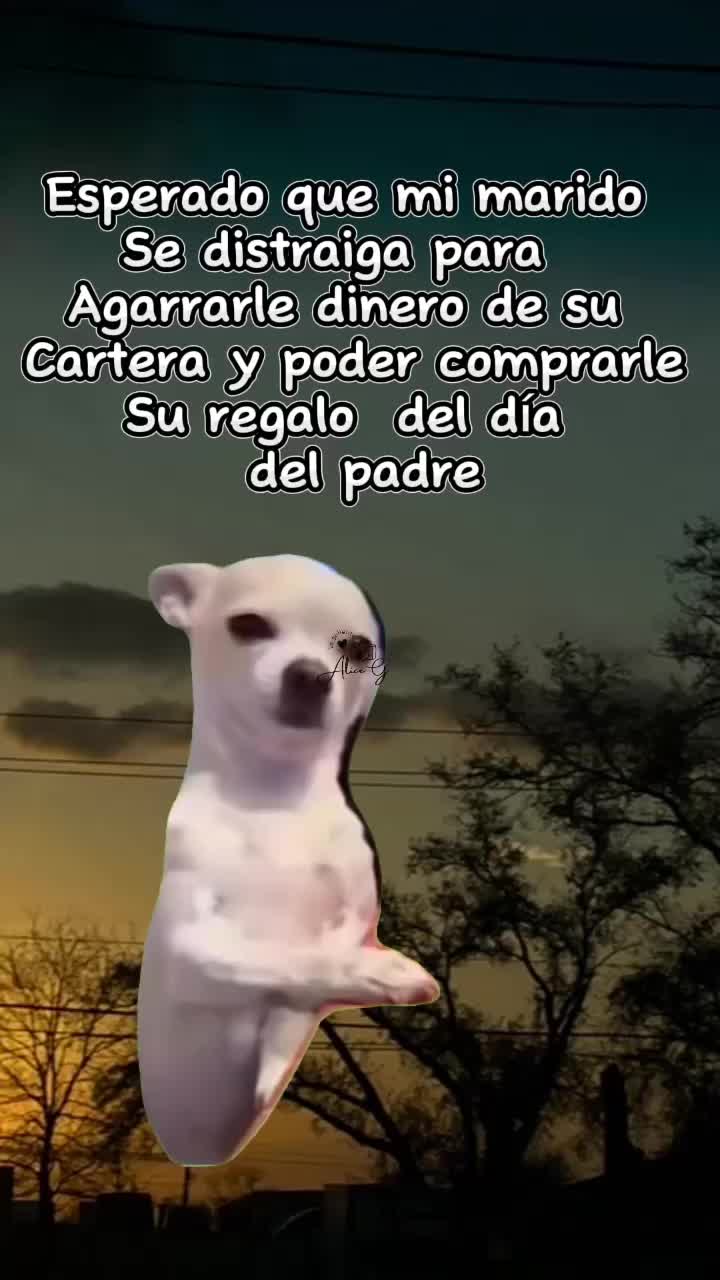 @𝓐𝓵𝓲𝓬𝓮 𝓖'👩&zwj;🍳🍪🦋☘️