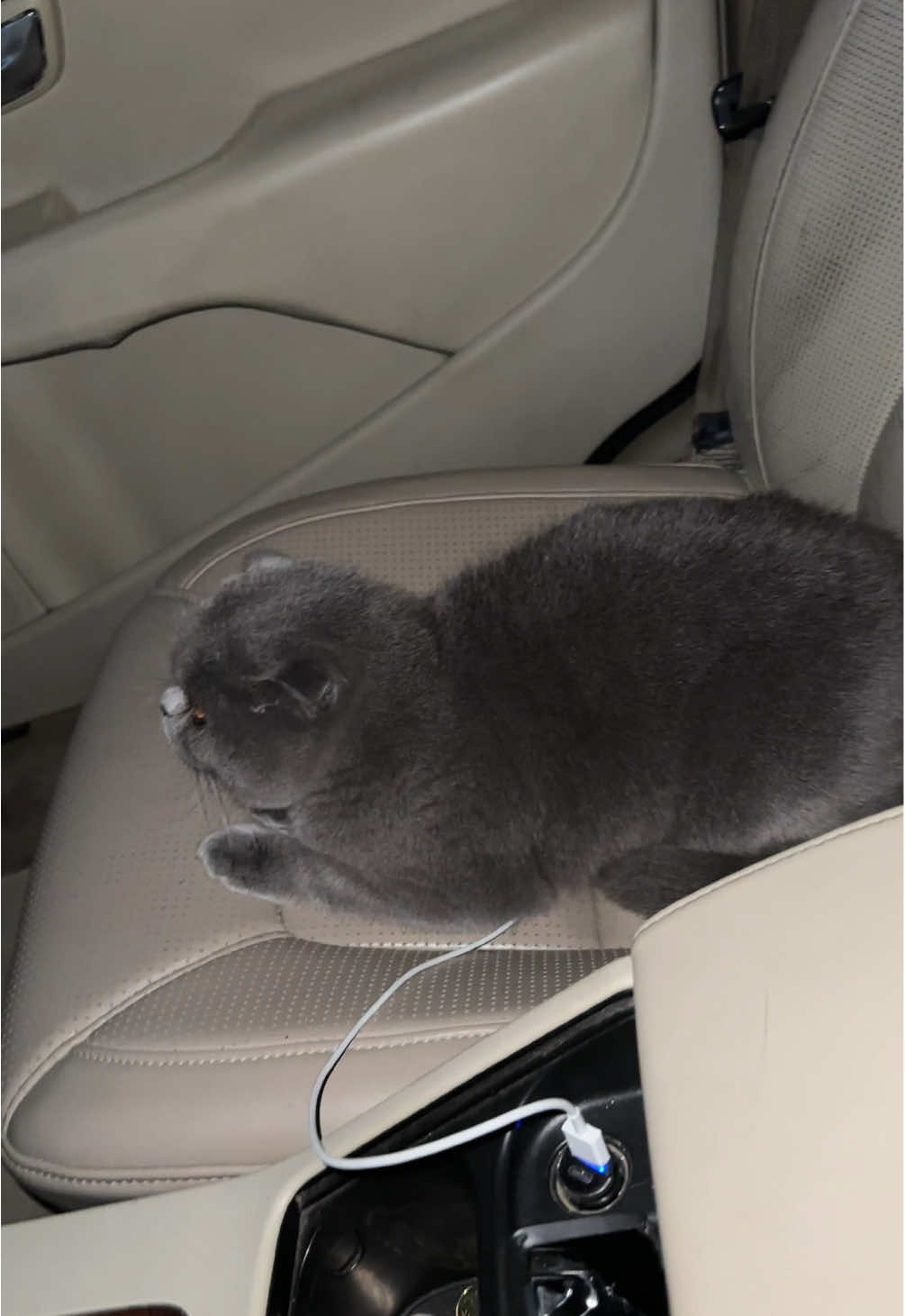 @BOBI🐈&zwj;⬛