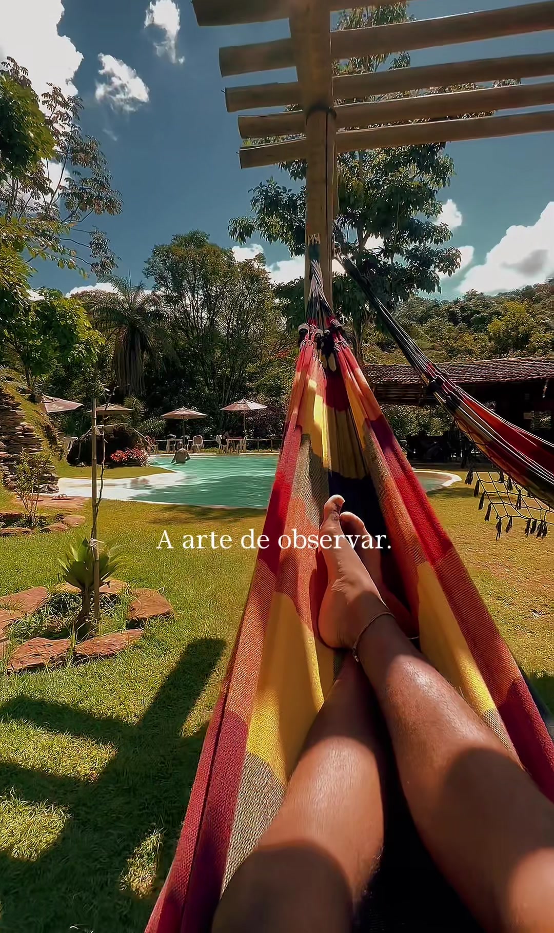 @Triângulo Aquapônico