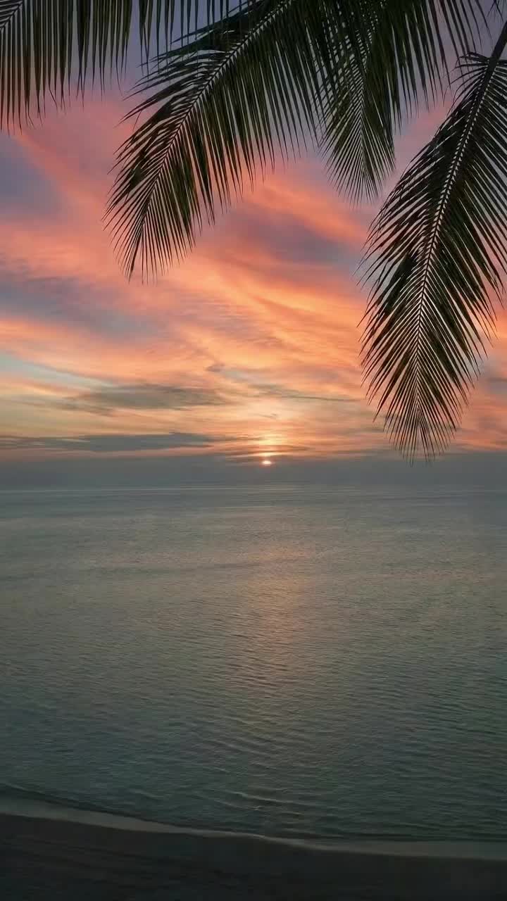 @FreebieClip
