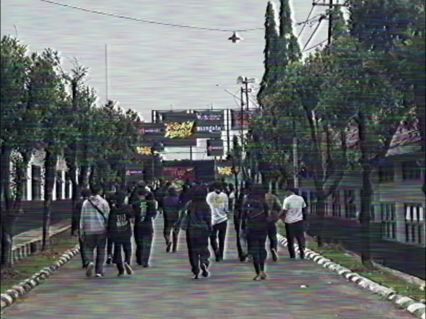 @lineno