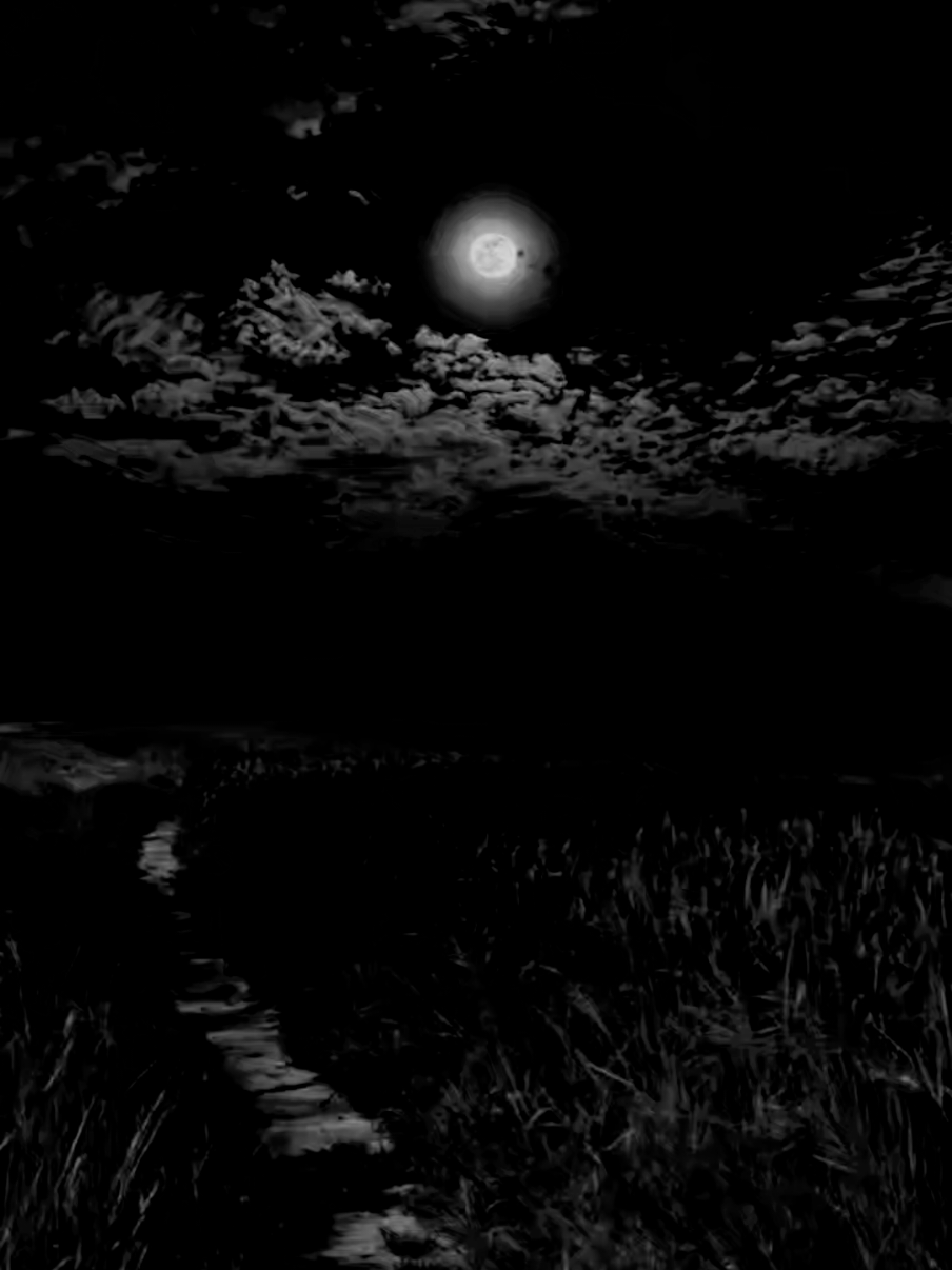 @ВСЕ ЩО НА ДУШІ 🖤