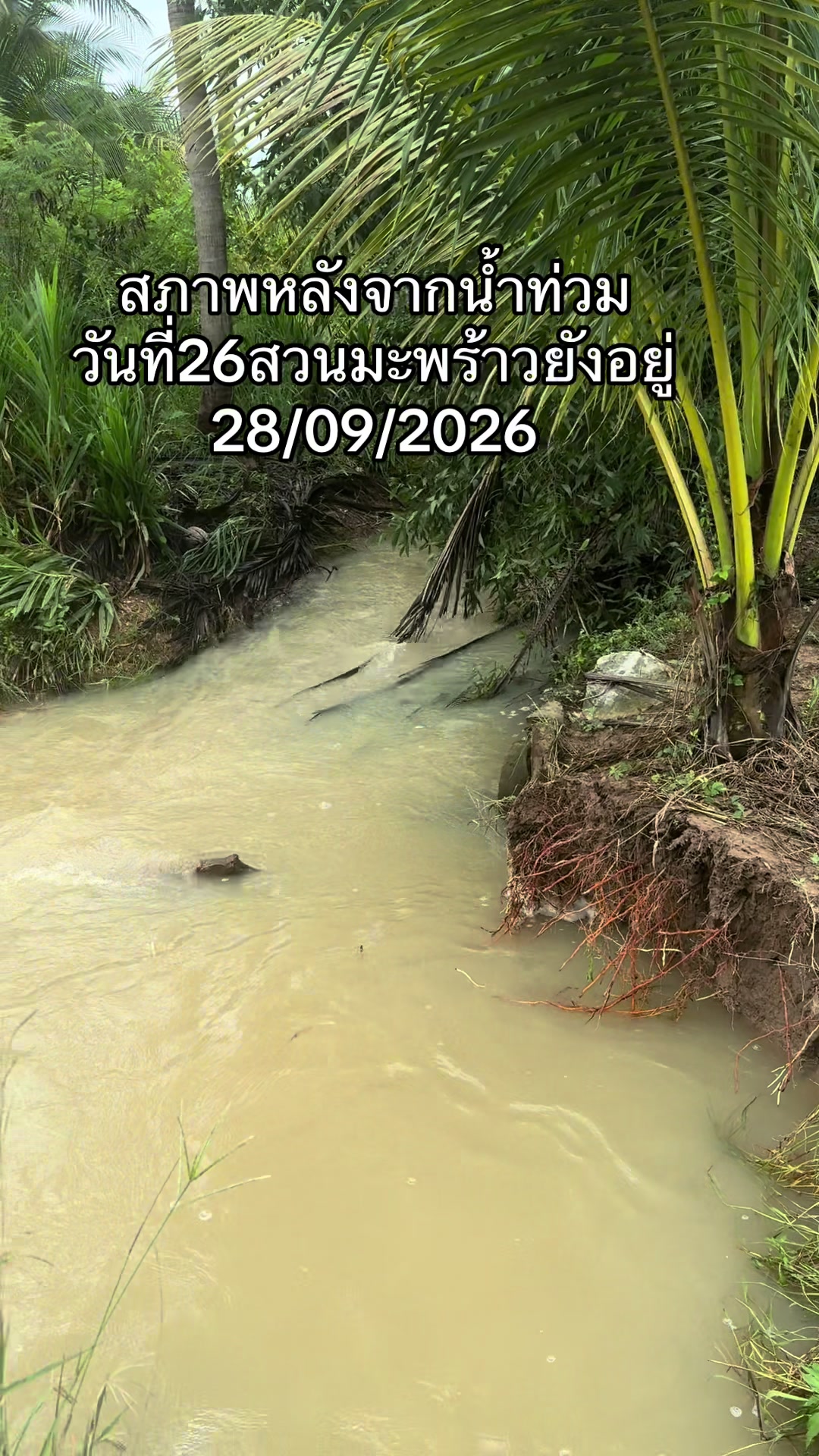 @👤ส่งคำขอเป็นเพื่อนคุณ