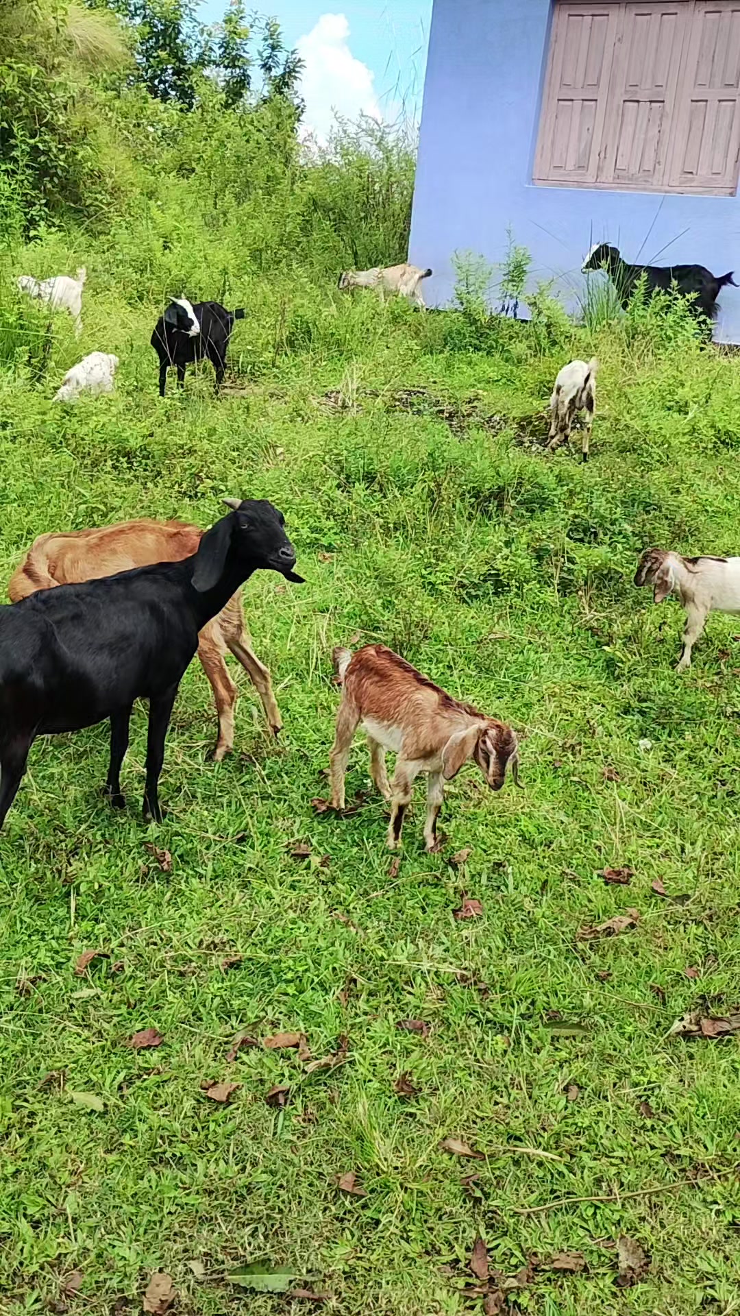 @Chije Kumar