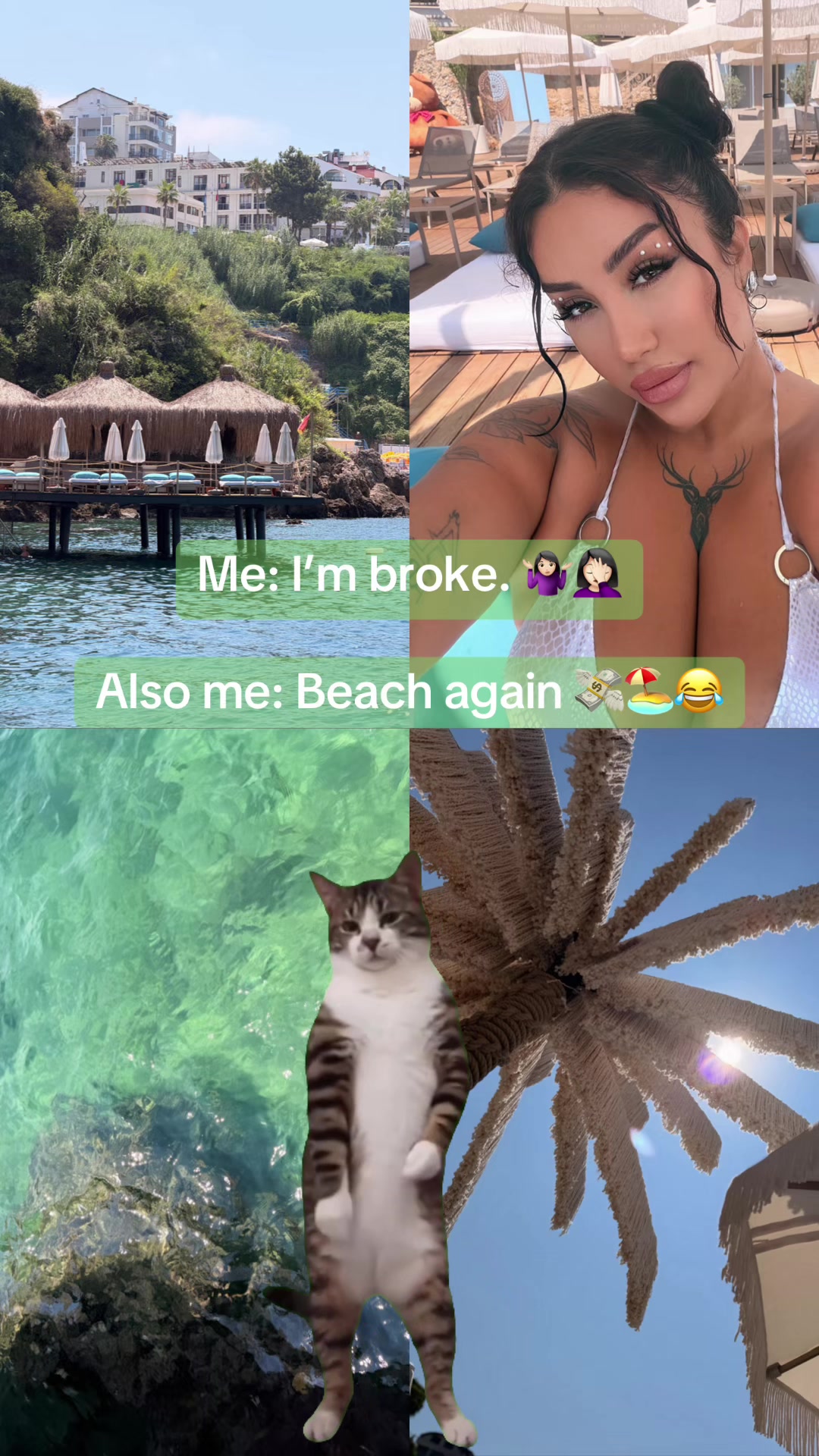 @mahsa