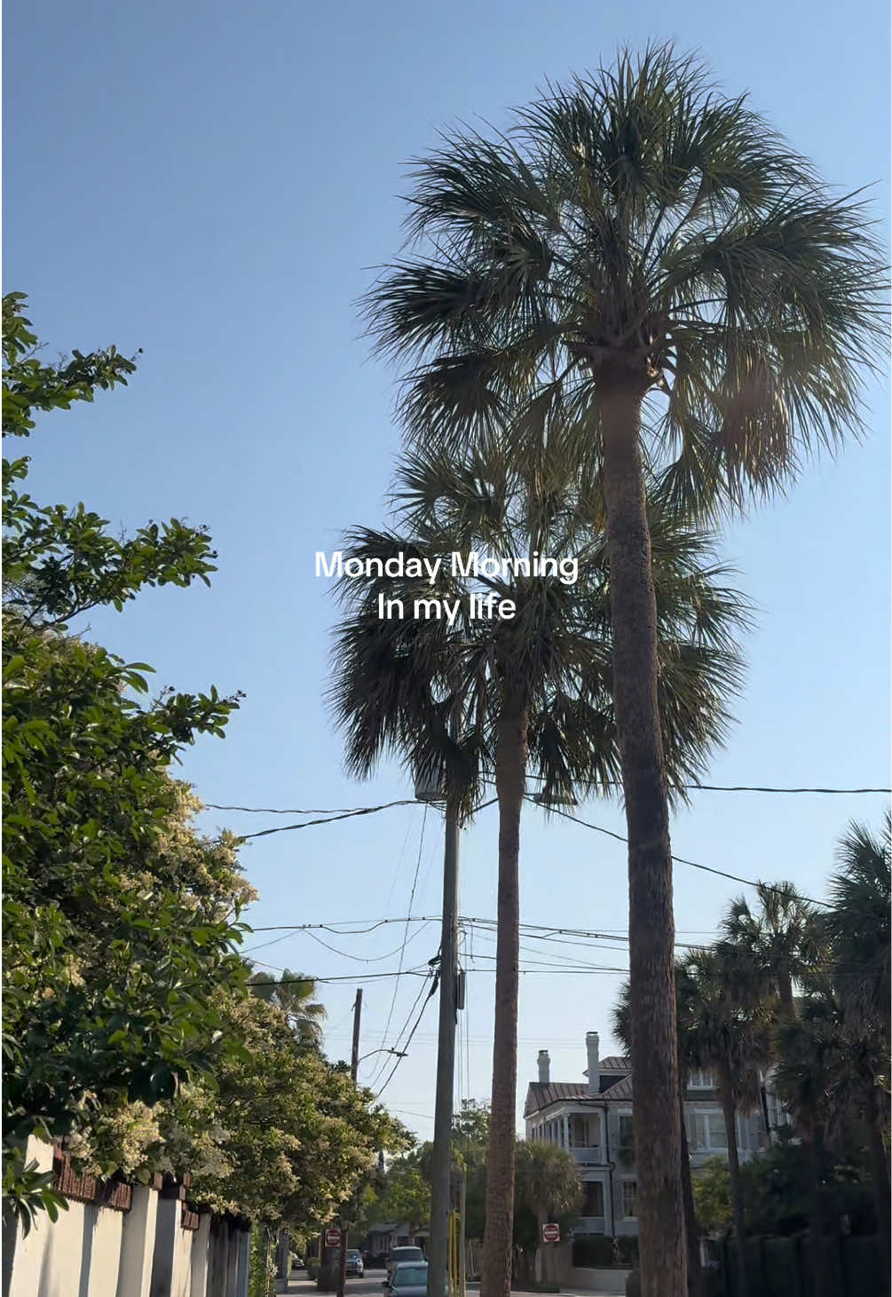 @BY GREY