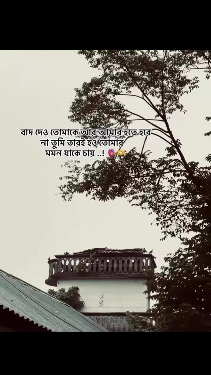 @💫🥀 ⊶N⊶O⊶Y⊶O⊶N⊶🥀💫