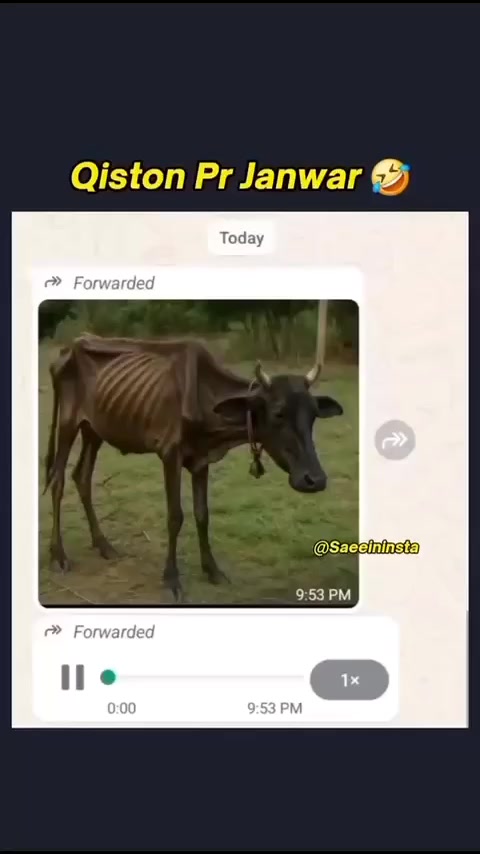 @Hixbi siyal