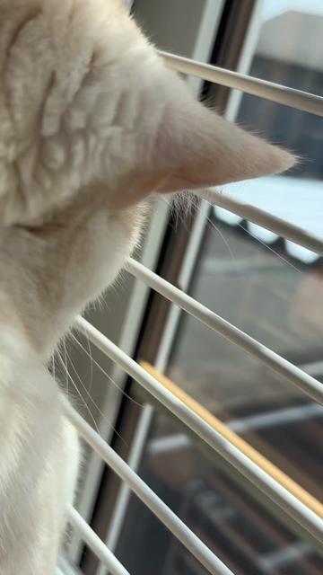 @みなチャン🐈⬛🐈