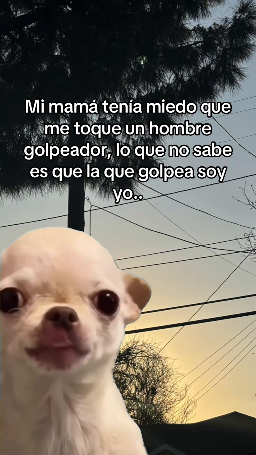 @ifuentesx 🪐⁷