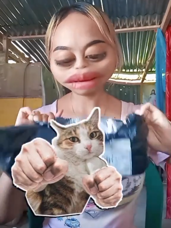 @Lisyong