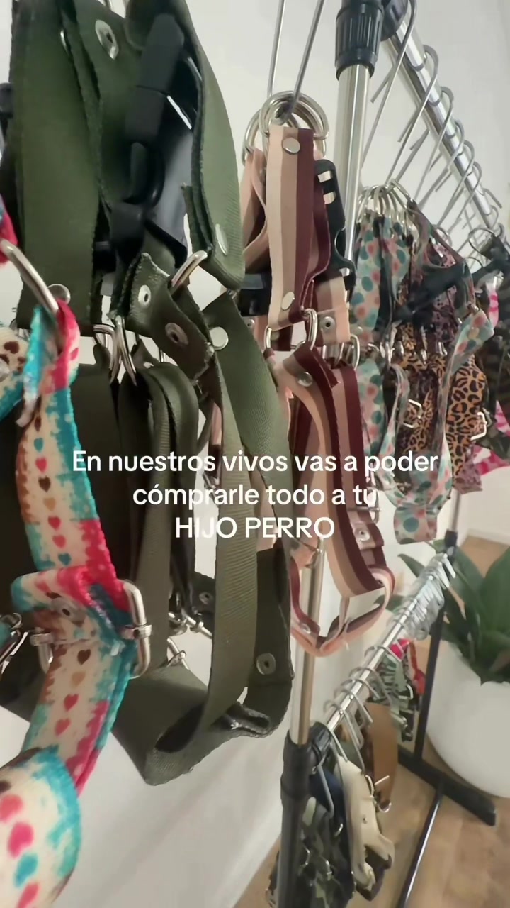 @HIJOPERRO2