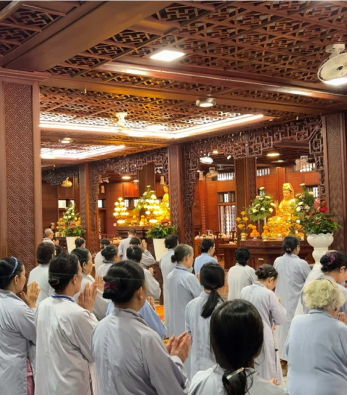 @Hỷ Lạc Du Ký 🇻🇳