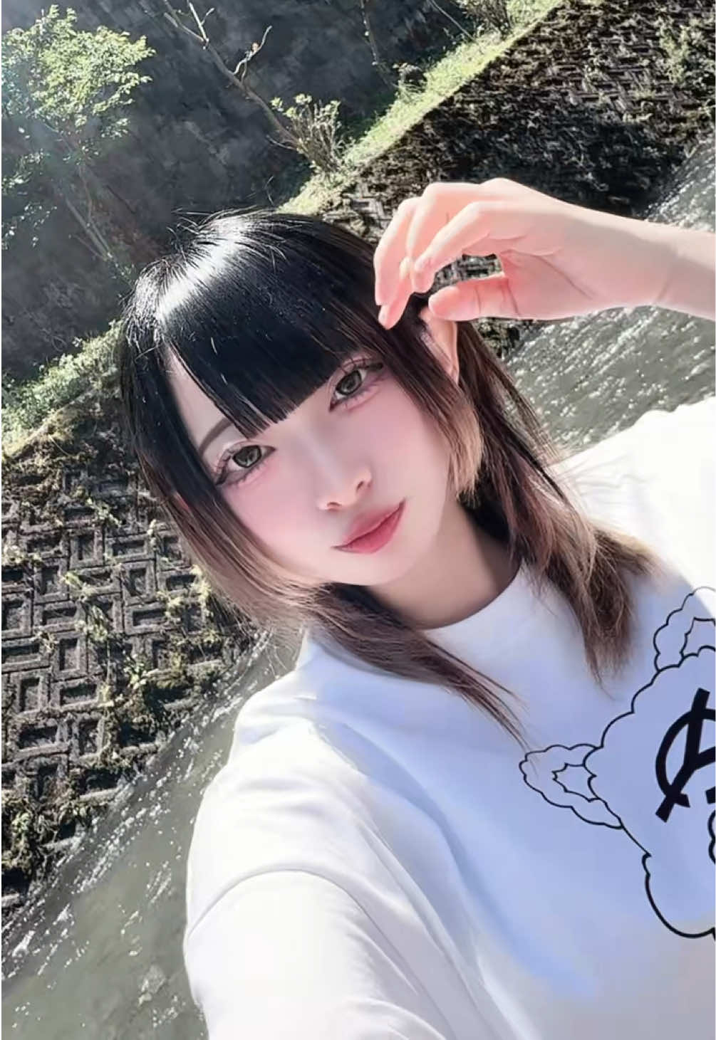 @ひよこチャン