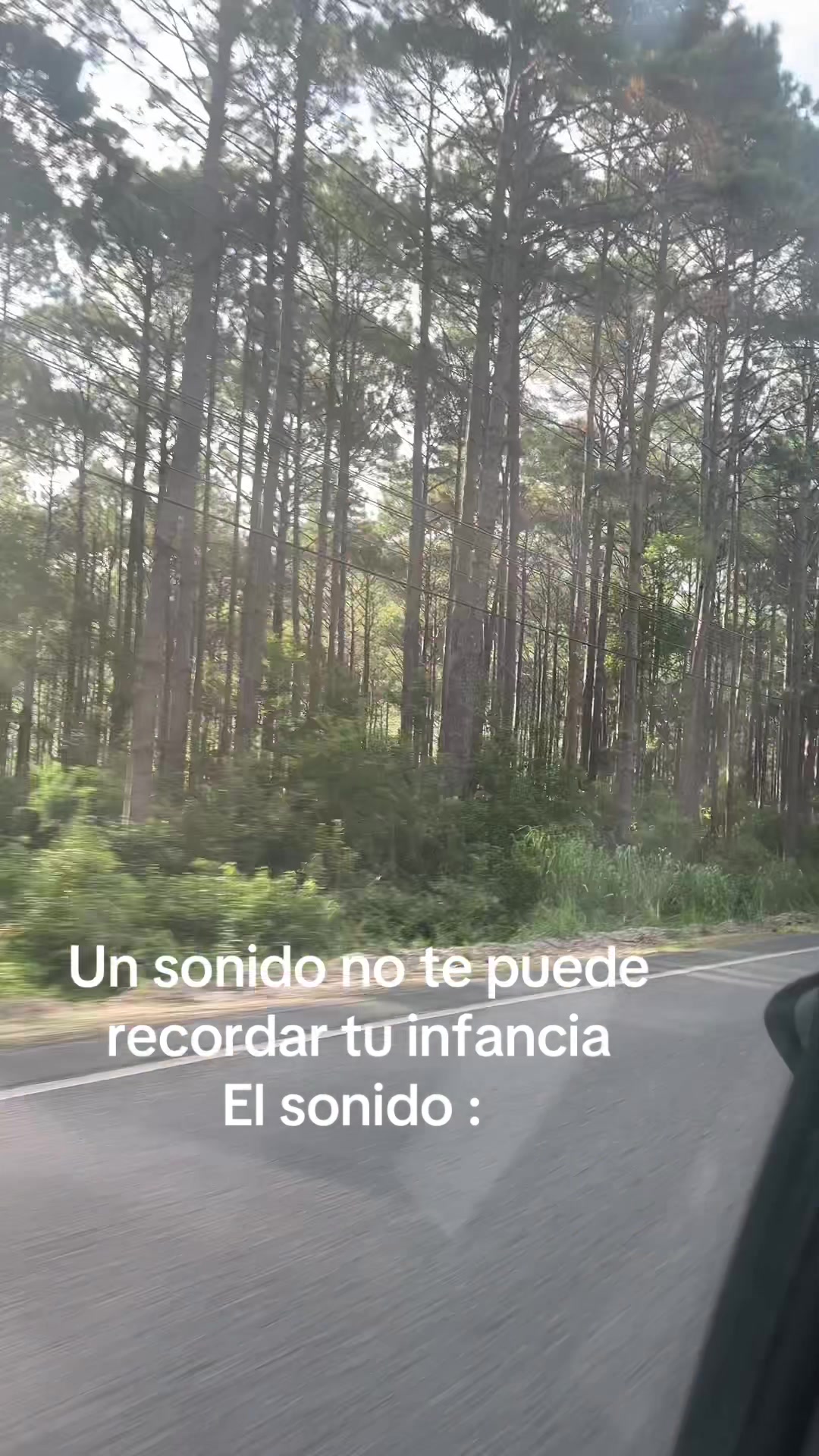 @Lorena Ferreira