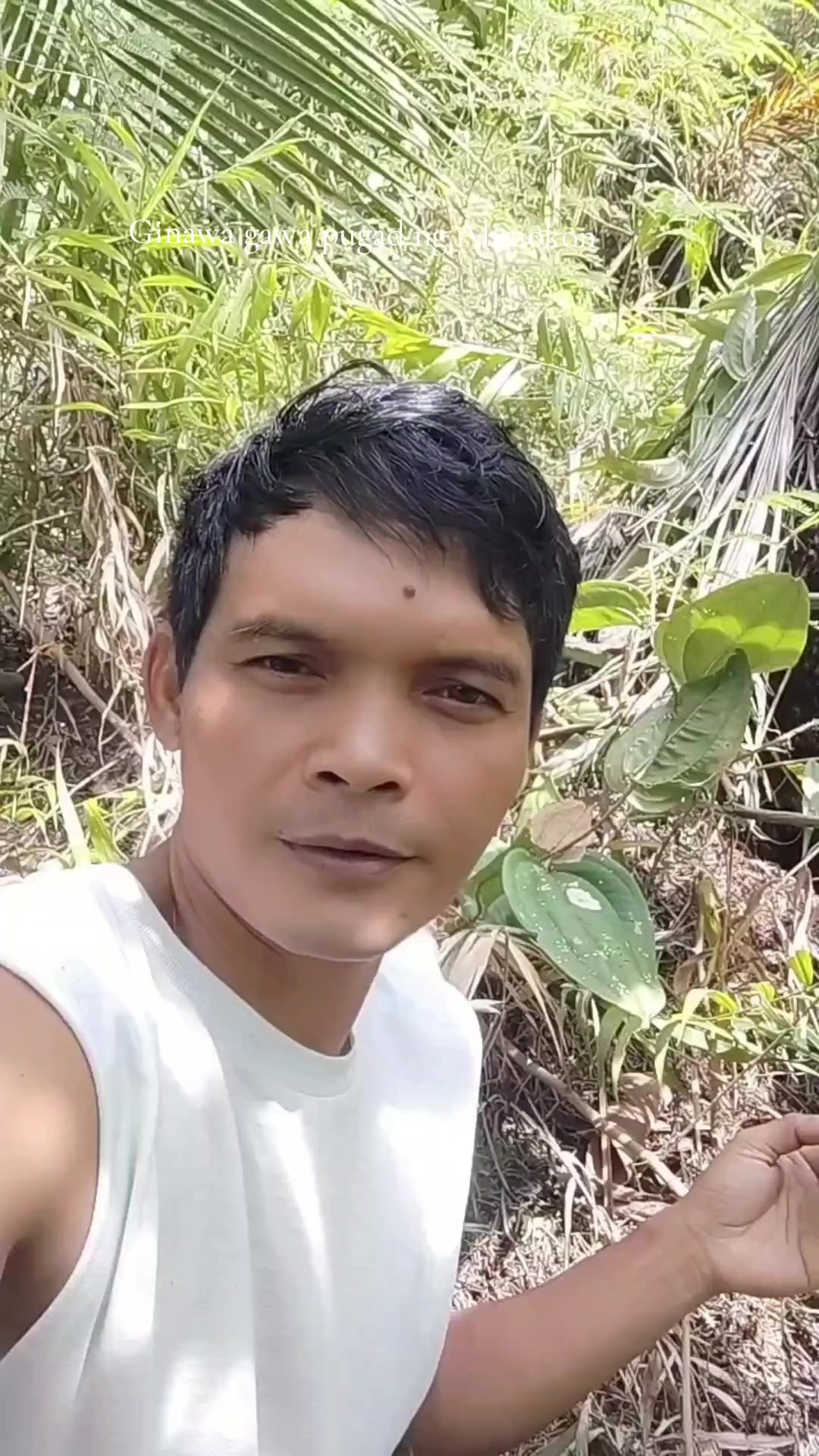 @AR M - Vlogs ( arjun )