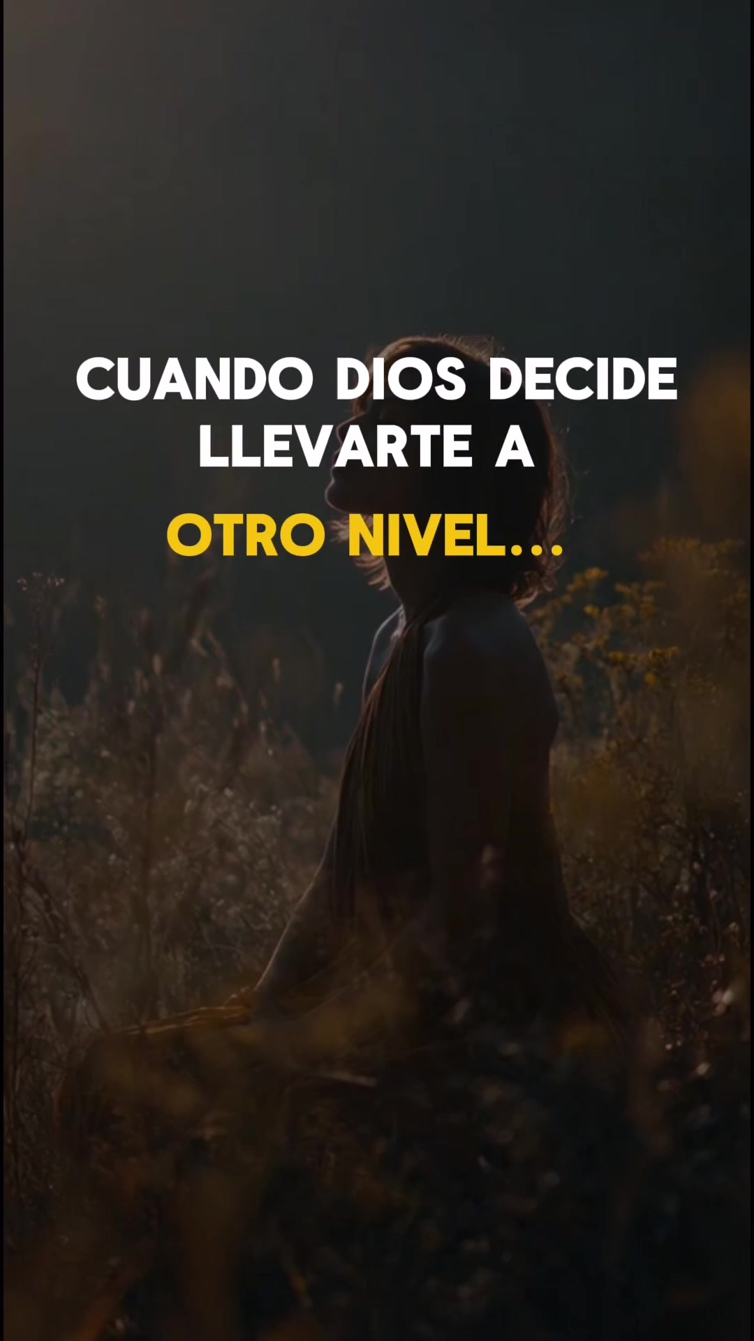 @vibracióncreadora