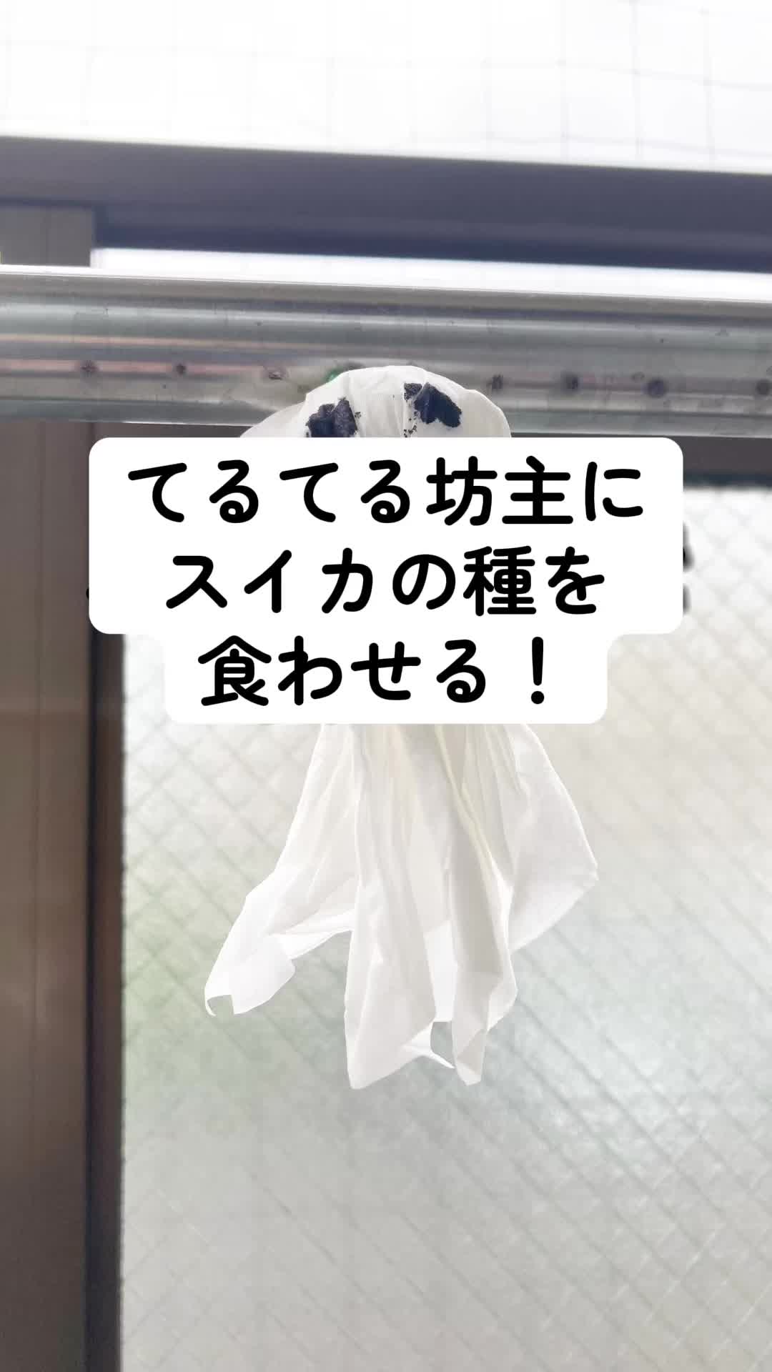 @みうらじょん(MJ)