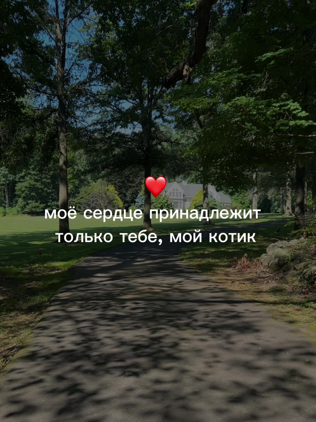@muzdogz