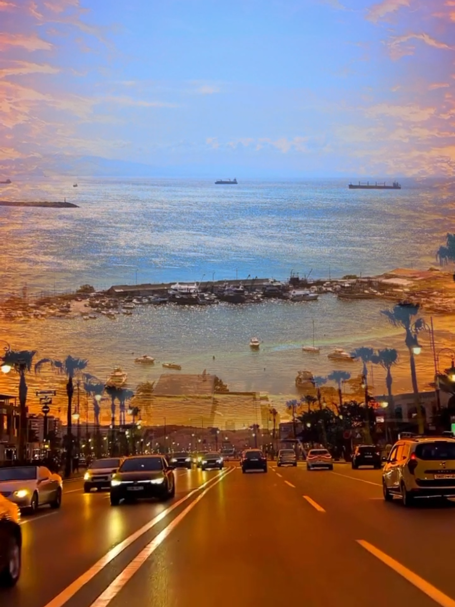 @Umut677✨️
