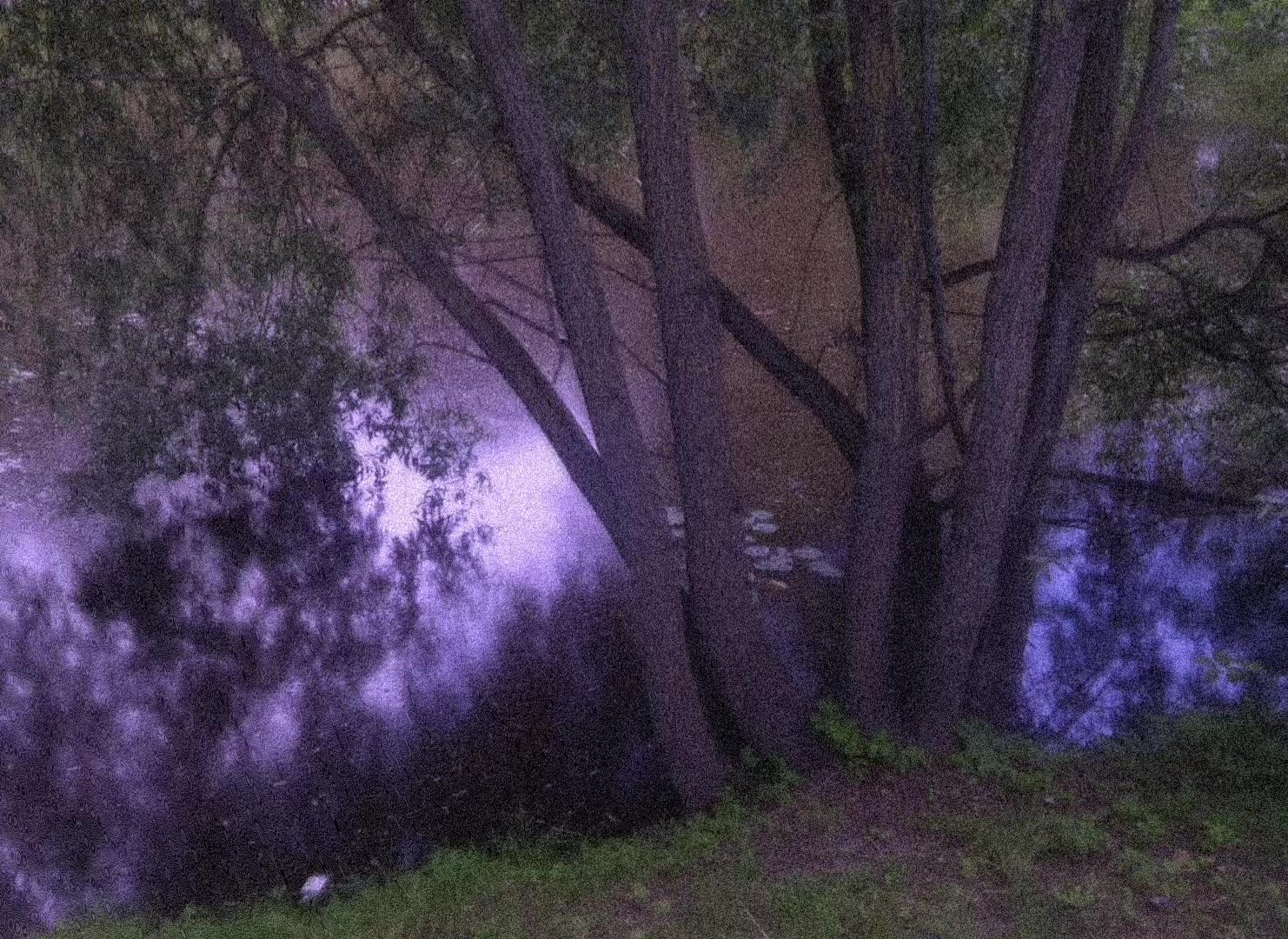 @𝒔𝒐𝒏𝒈𝒔