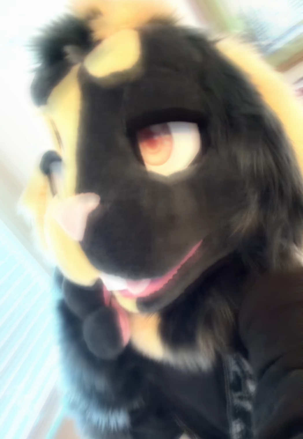 @`✮&acute; 𝘽𝙞𝙣𝙜𝙤 `✮&acute;