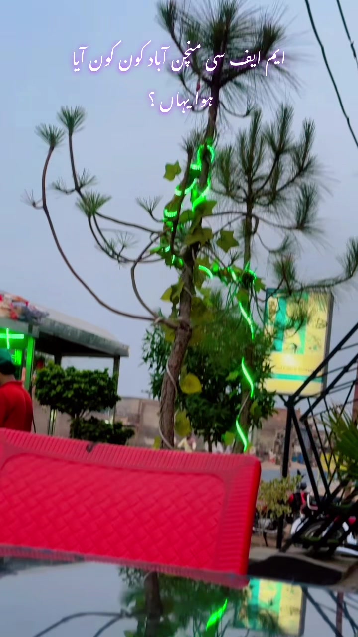 @MFC Moiz Food Cafe Minchinabad