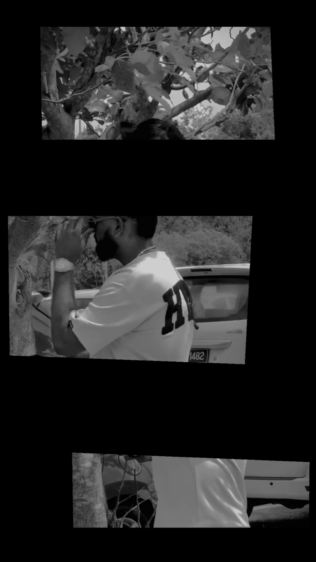 @🐉_  塞尔万48_🤍🐉🎱