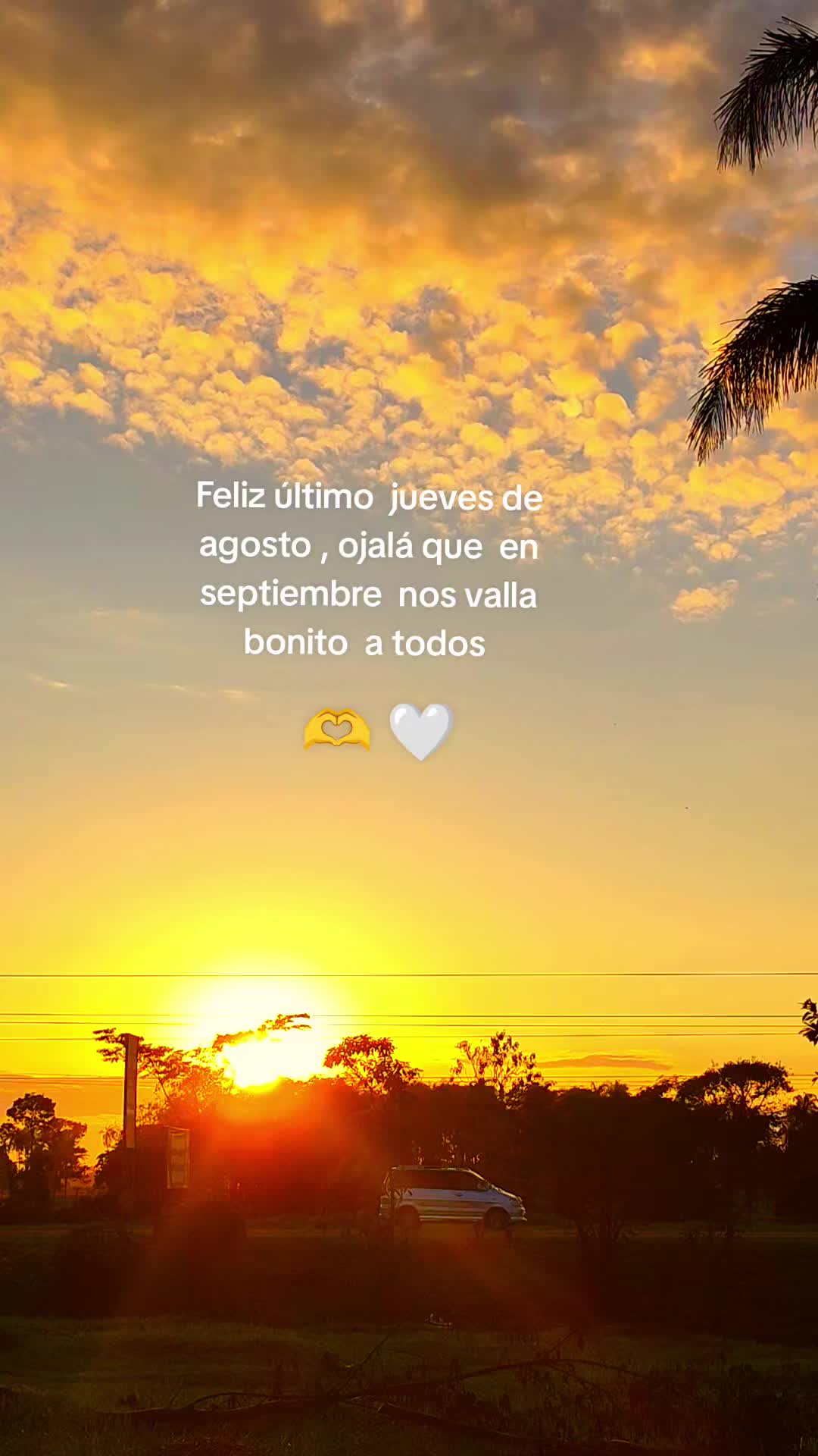 @AbiFlores