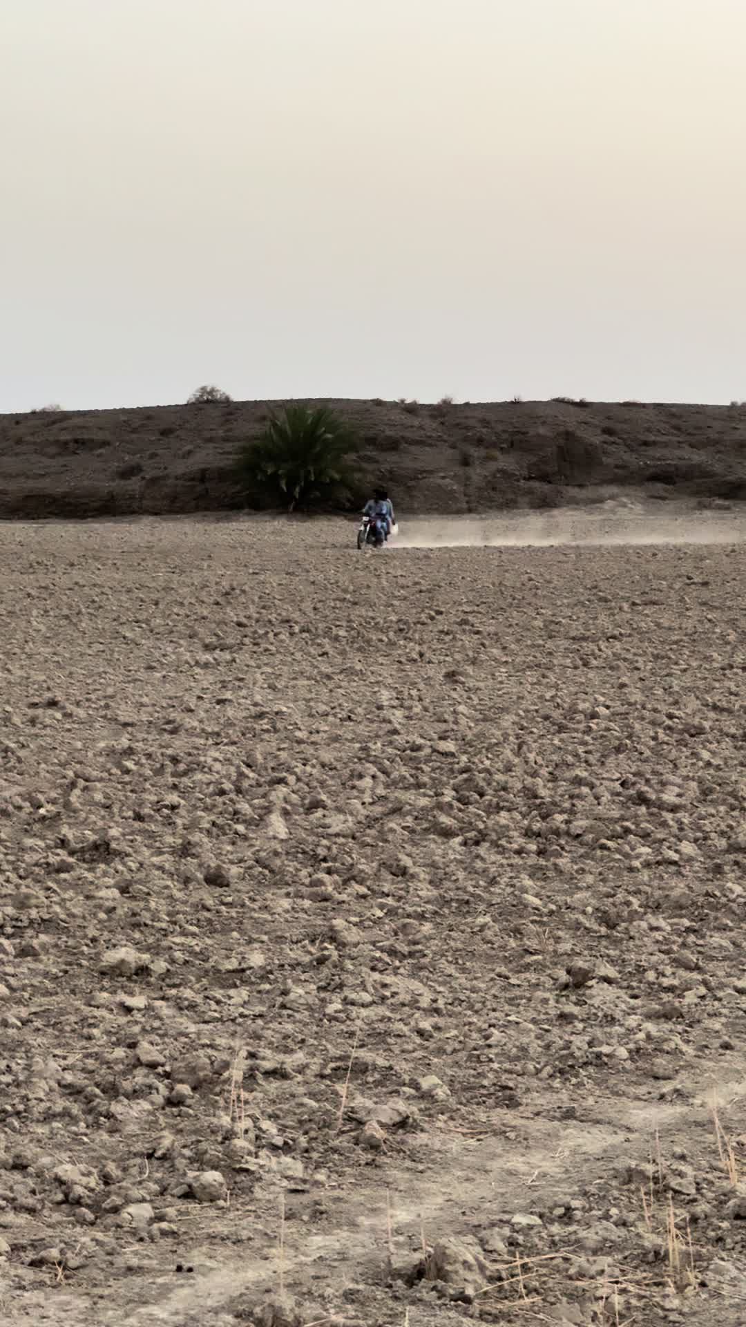 @ا   🖤