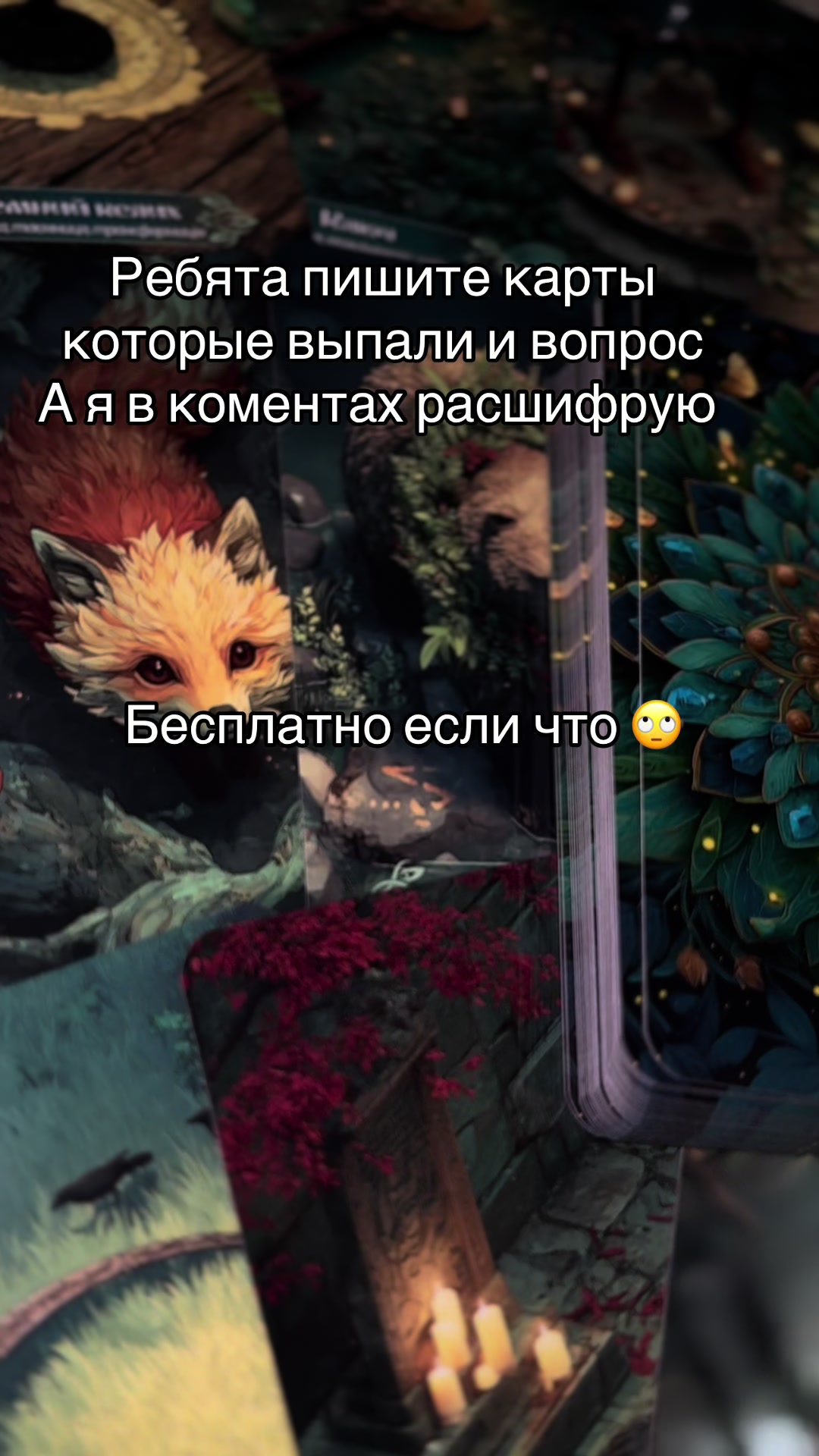 @BOHDANCHIK
