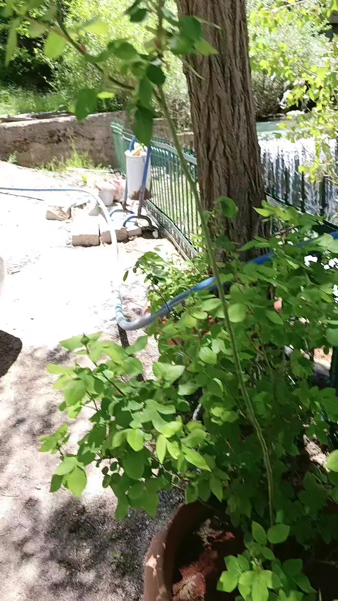 @Hanife A&ccedil;ıkg&ouml;z Kolsuz