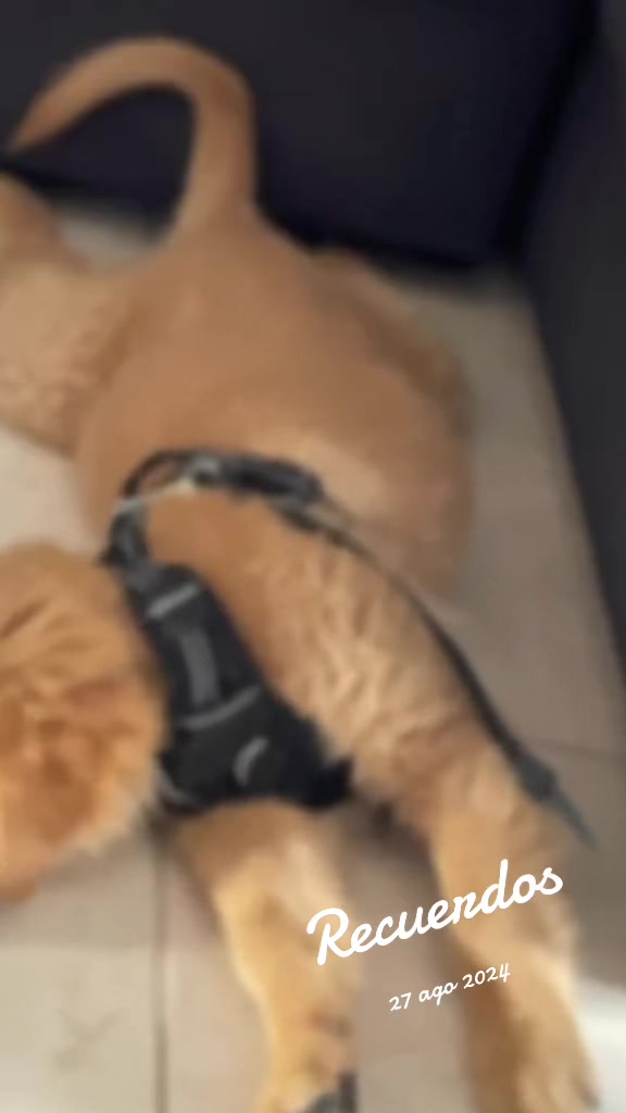 @Celita y Lumen