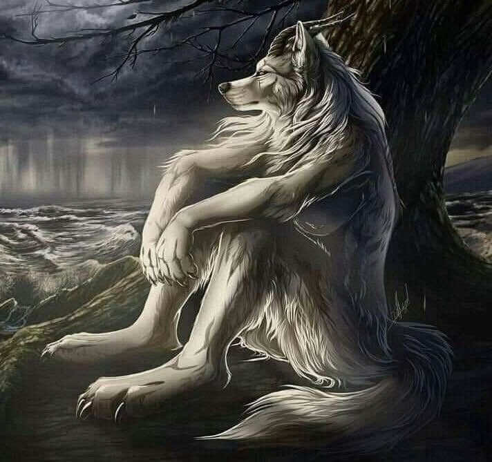 @💤