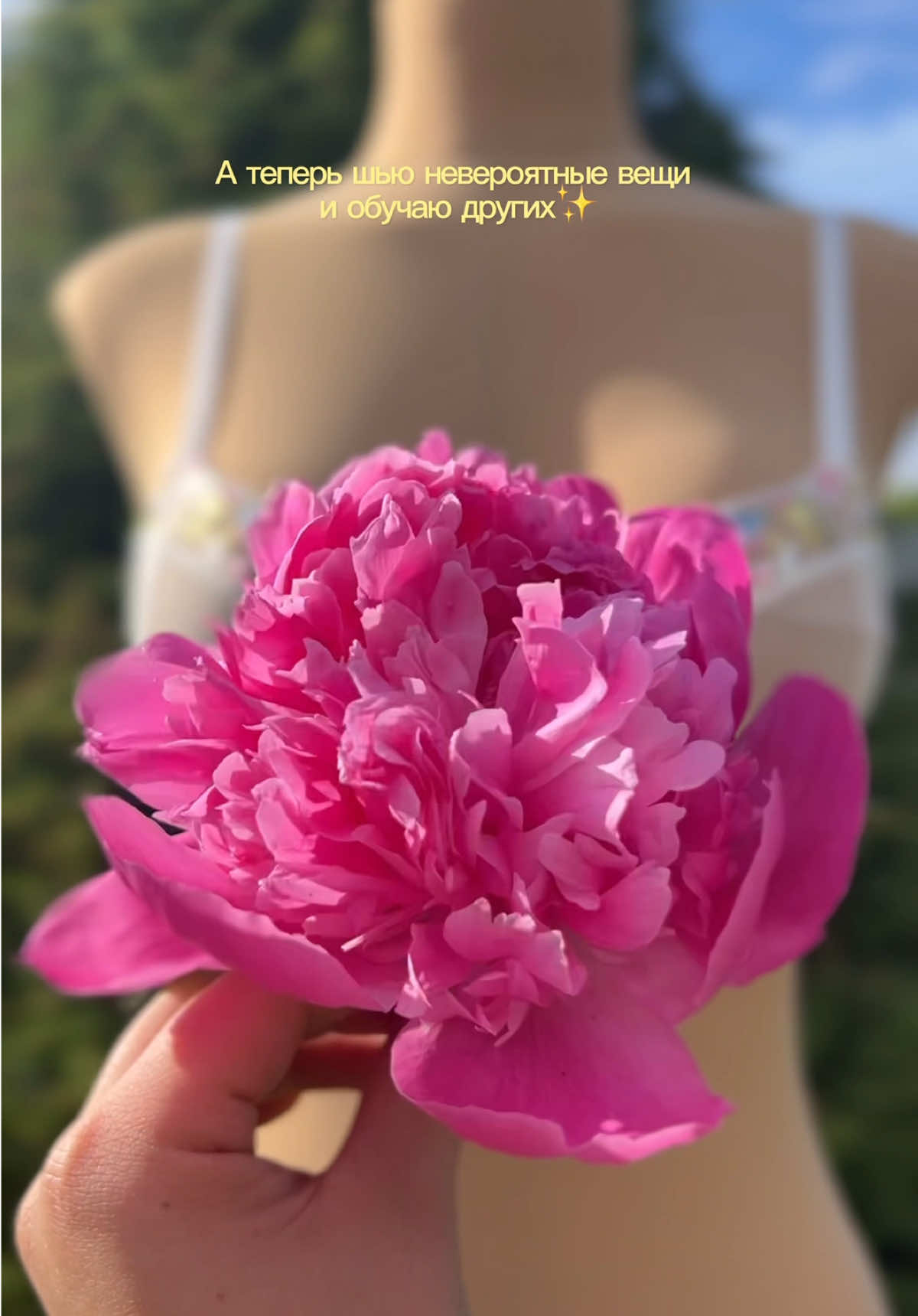 @vlada.sew