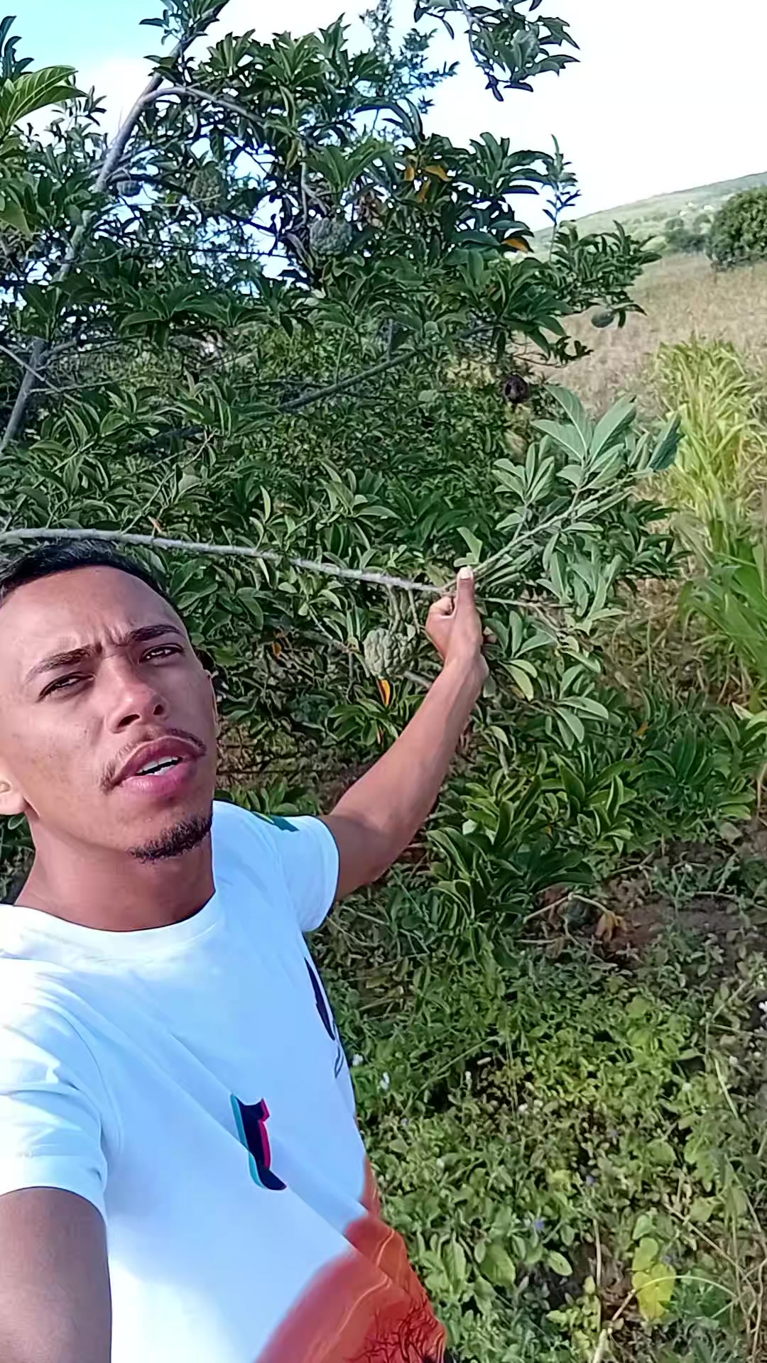 @vida nó Campo 🌵🏜