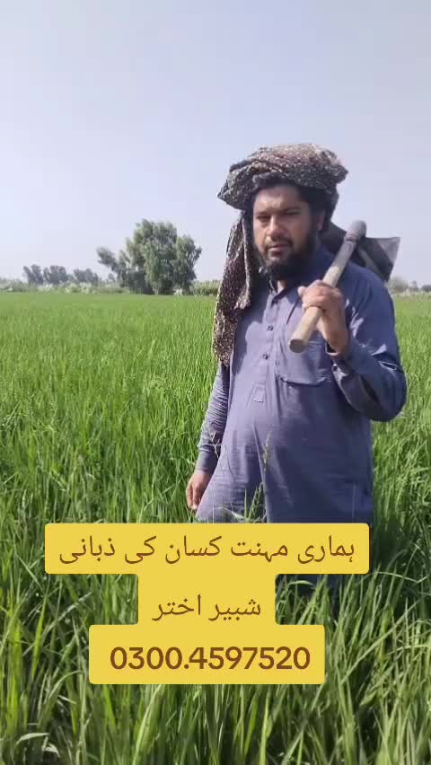 @Pakistan Kisan T.V