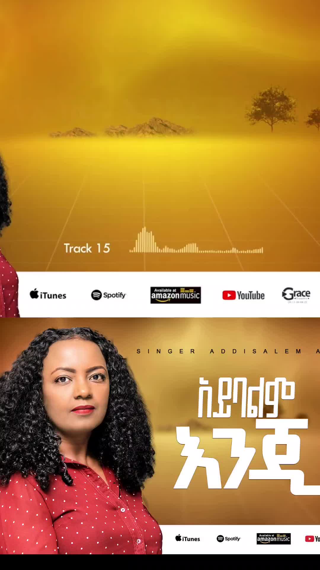 @Addisalem asefa official