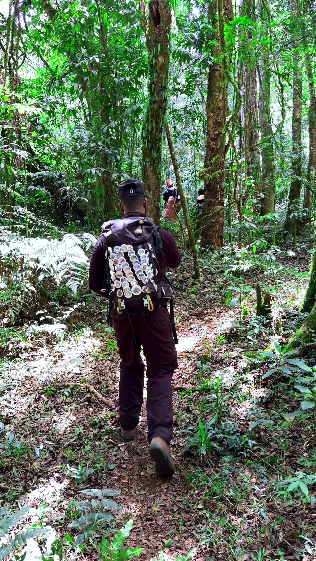 @HikinG_GiantS