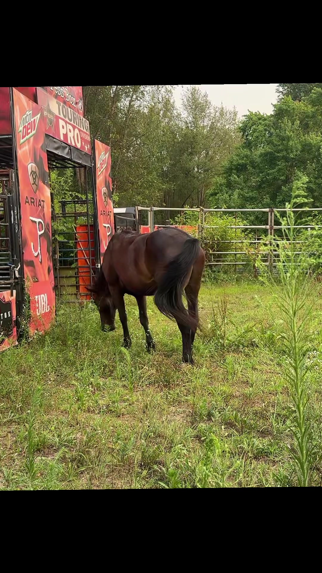 @PowellRodeo