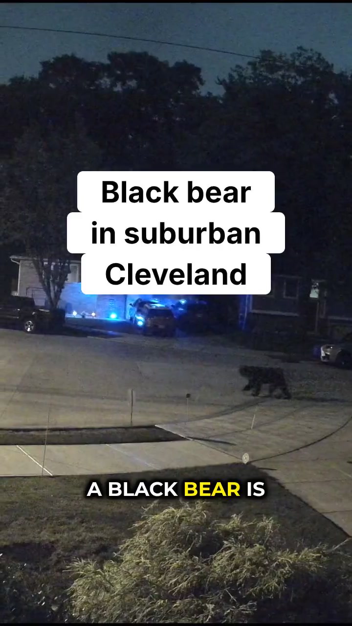 @cleveland.com