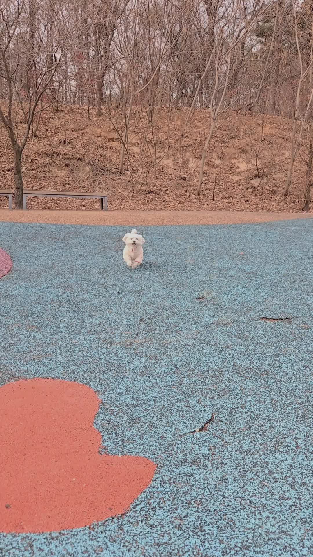 @❤파란눈녹차❤