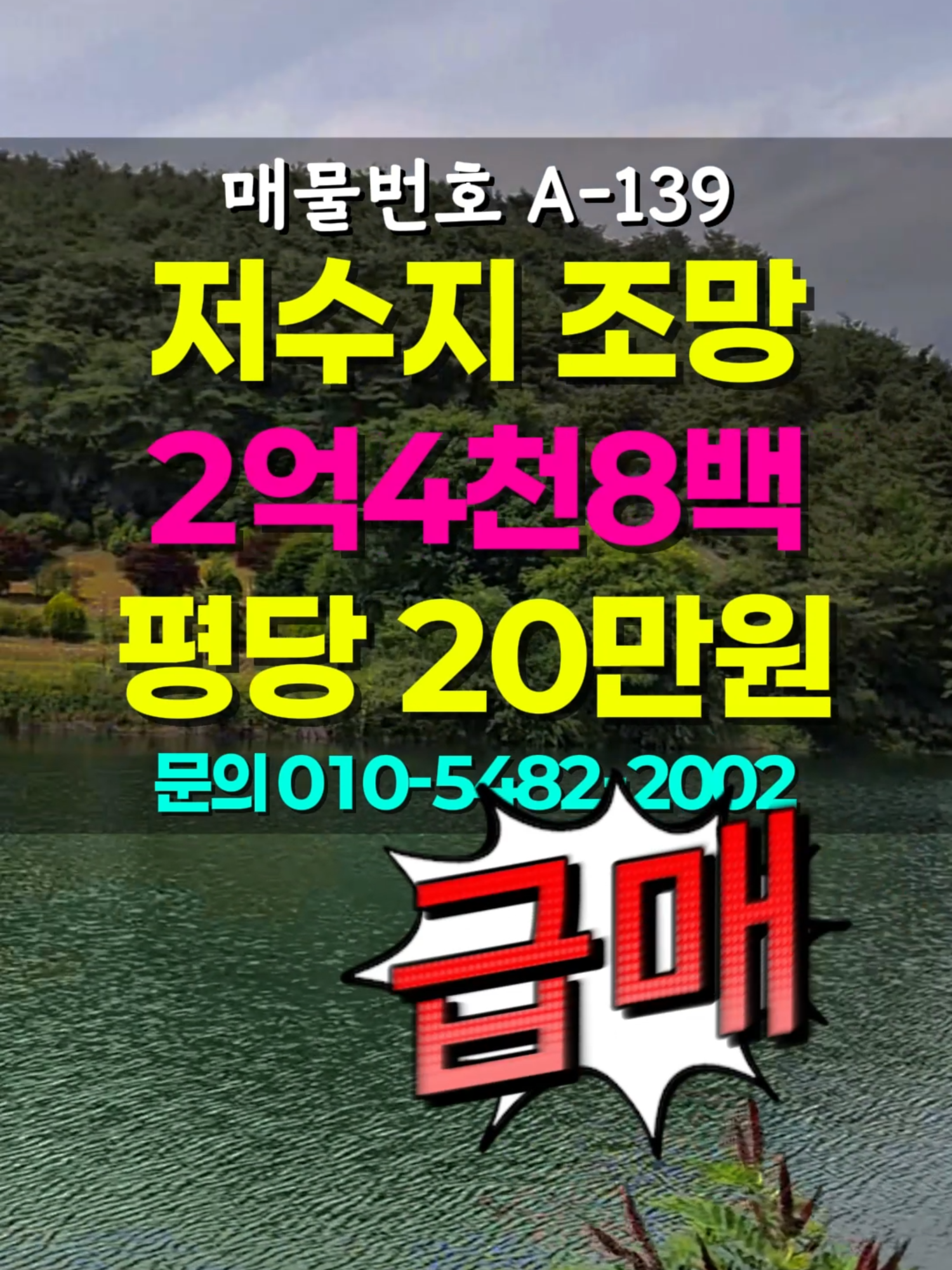 @부동산 전문가 박미란