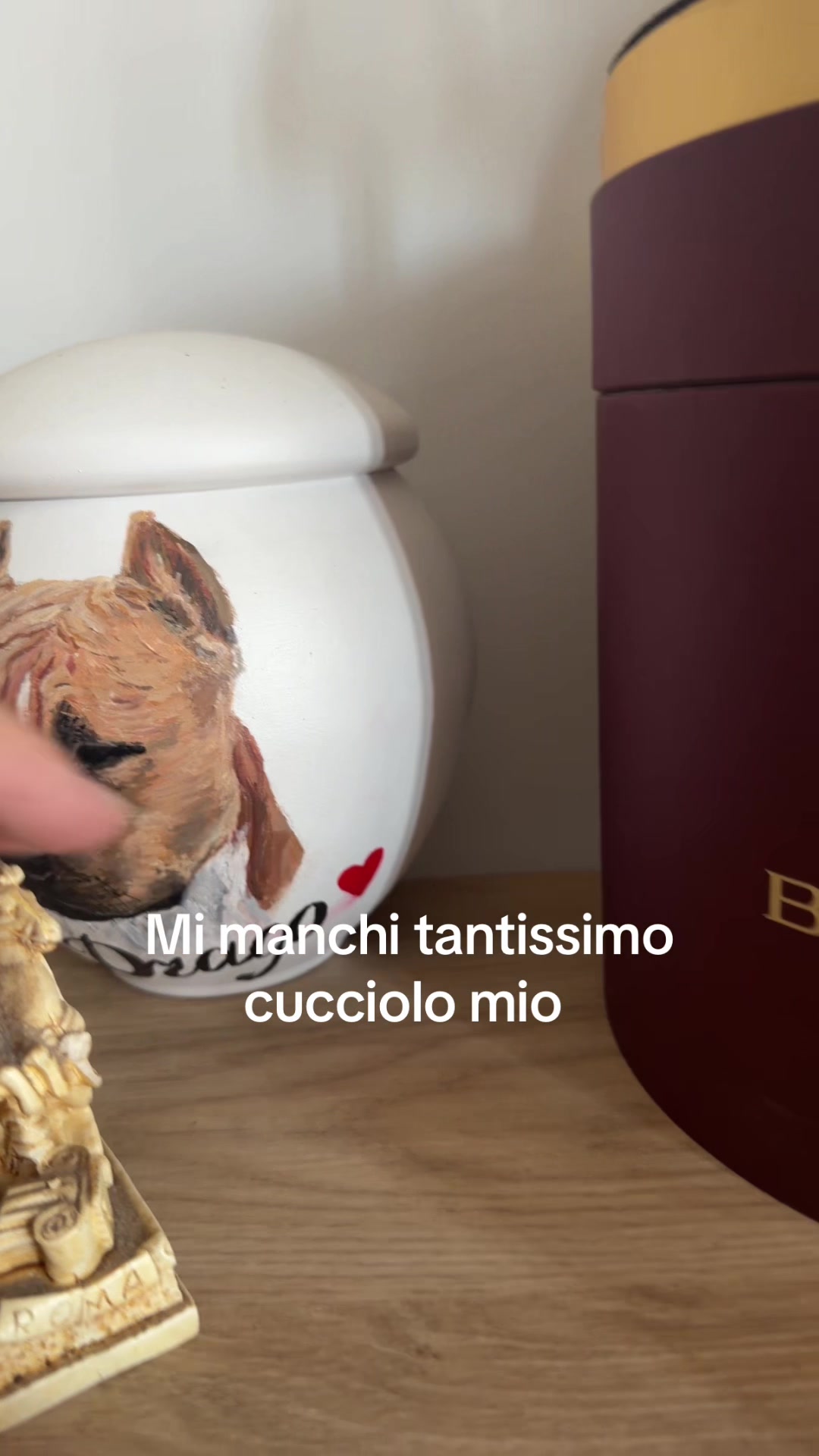 @armando falanga