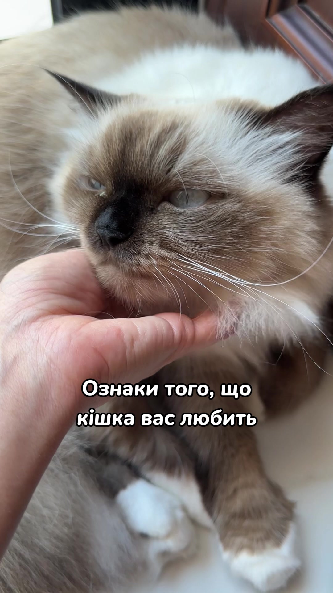 @Місс КІСЯ