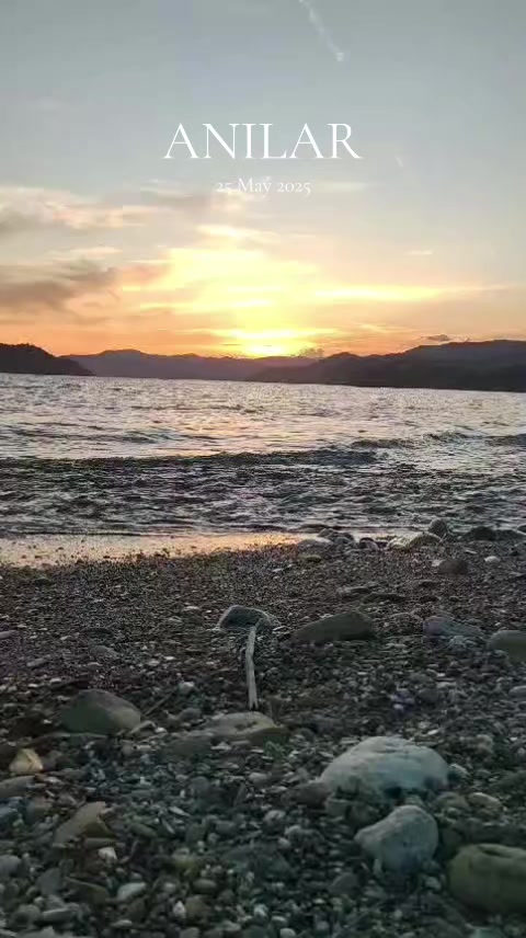 @G&uuml;ls&uuml;n 48